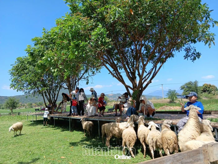 Du xuân qua miền nắng gió