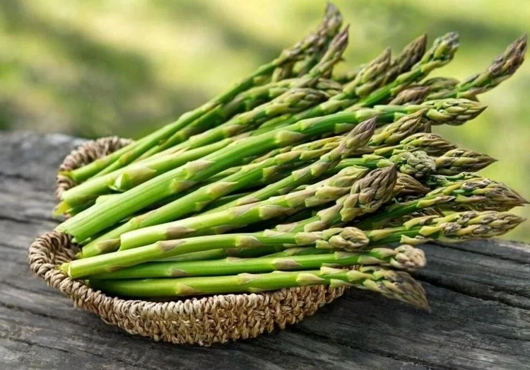 Măng tây tốt cho sức khỏe lại có nhiều ở Việt Nam.