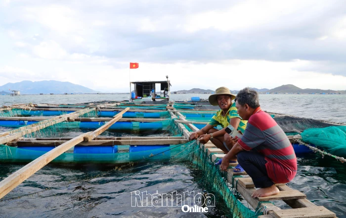 Ứng phó với giá nhiên liệu, chi phí đầu vào trong nuôi trồng thủy sản tăng