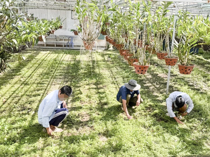 Kỷ niệm 10 năm Ngày Công tác xã hội Việt Nam (25-3-2016 - 25-3-2026): Điểm tựa cho bệnh nhân tâm thần