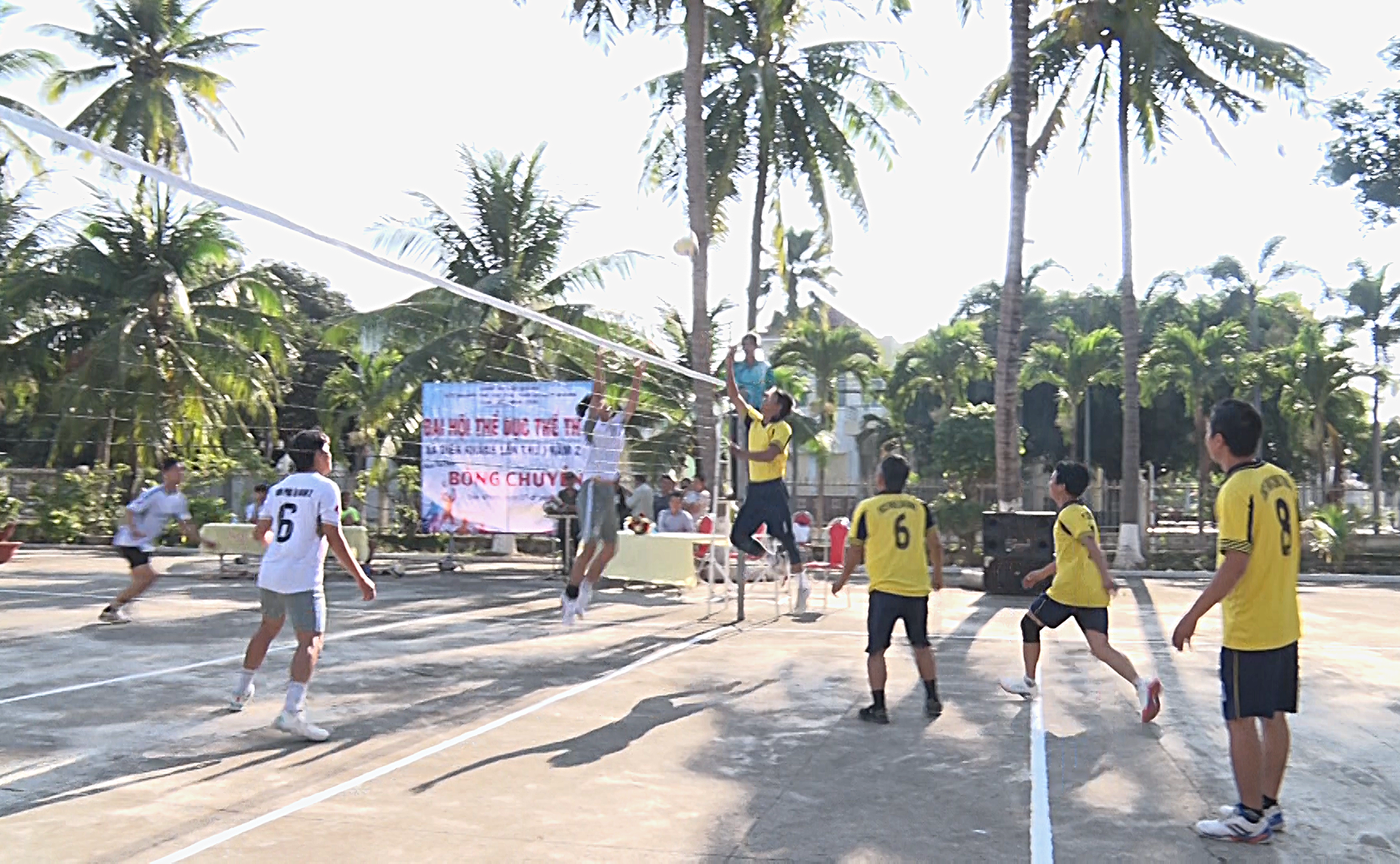 Các đội bóng thi đấu tại giải.