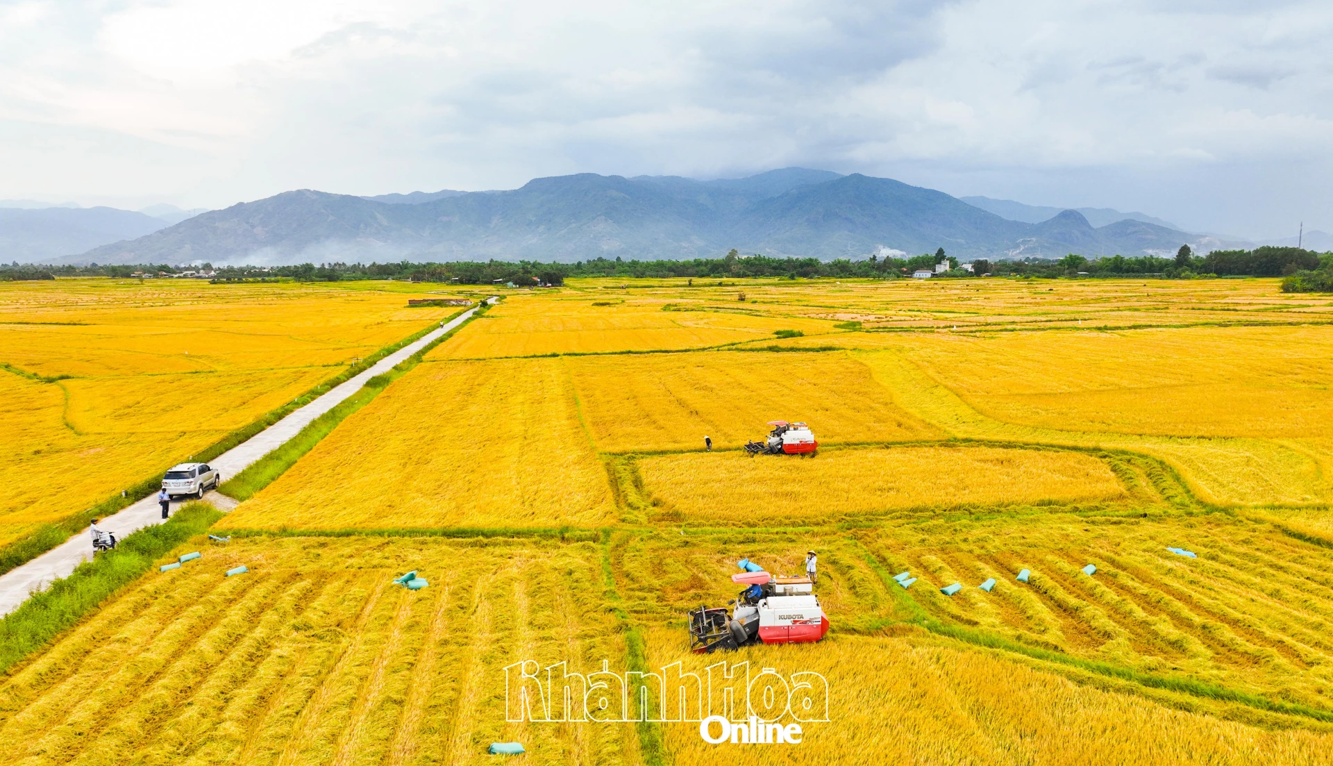 Một góc cánh đồng lúa xã Diên Khánh (ảnh minh họa).