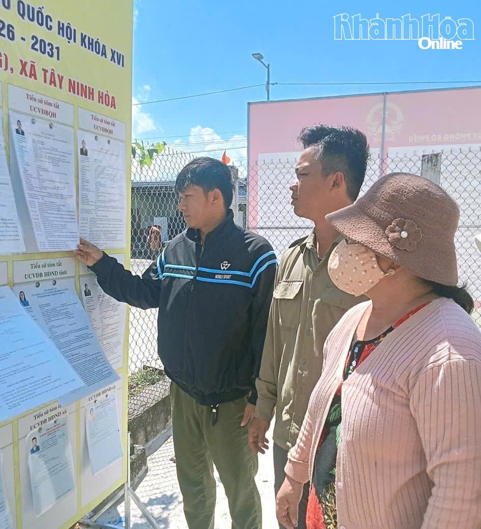 Rộn ràng “ngày hội non sông” - Báo Khánh Hòa