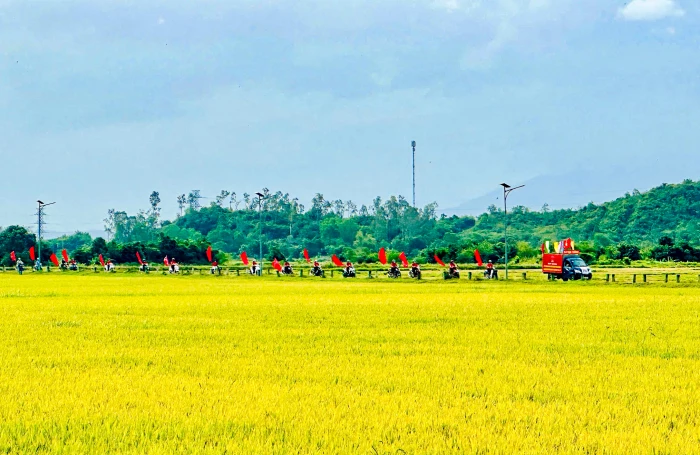 Nông dân Khánh Hòa hướng về ngày bầu cử