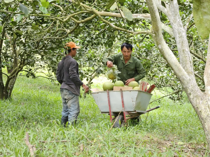 Cảnh báo nắng nóng cục bộ trong nhiều ngày tới