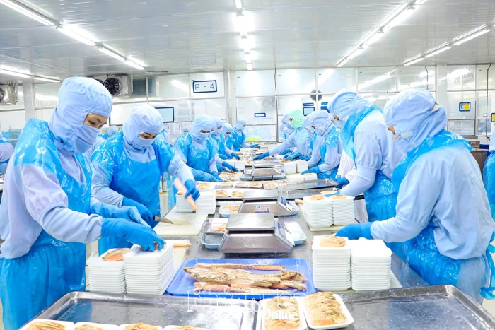 Đẩy mạnh đối thoại, thương lượng tập thể