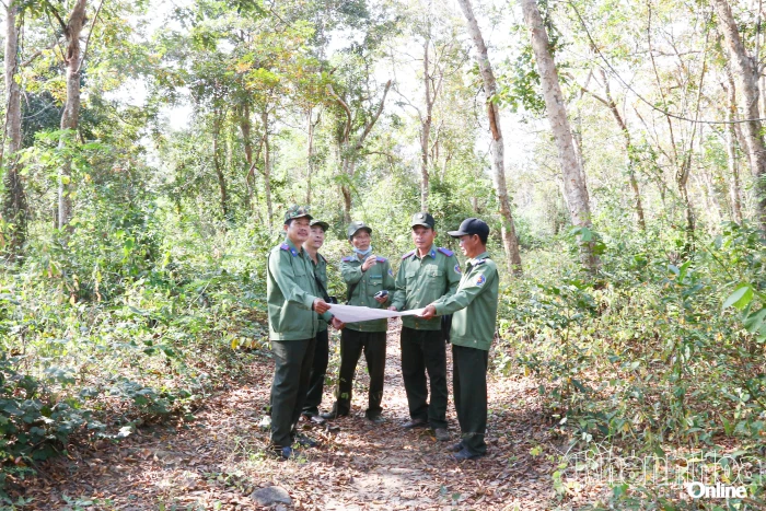 Chủ động phòng cháy rừng từ sớm, từ xa 