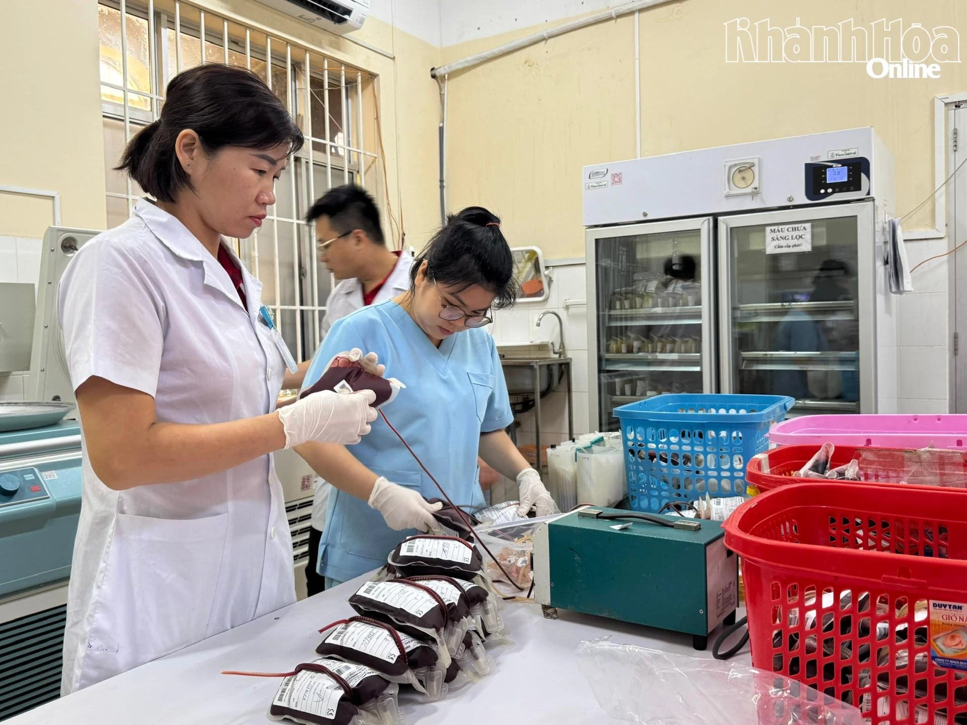 Quy trình tiếp nhận, phân loại nguồn máu hiến tại Trung tâm Huyết học - Truyền máu Khánh Hòa.