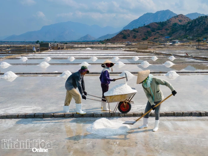 Hội Liên hiệp Phụ nữ xã Ninh Hải: Đồng hành cùng hội viên phát triển kinh tế