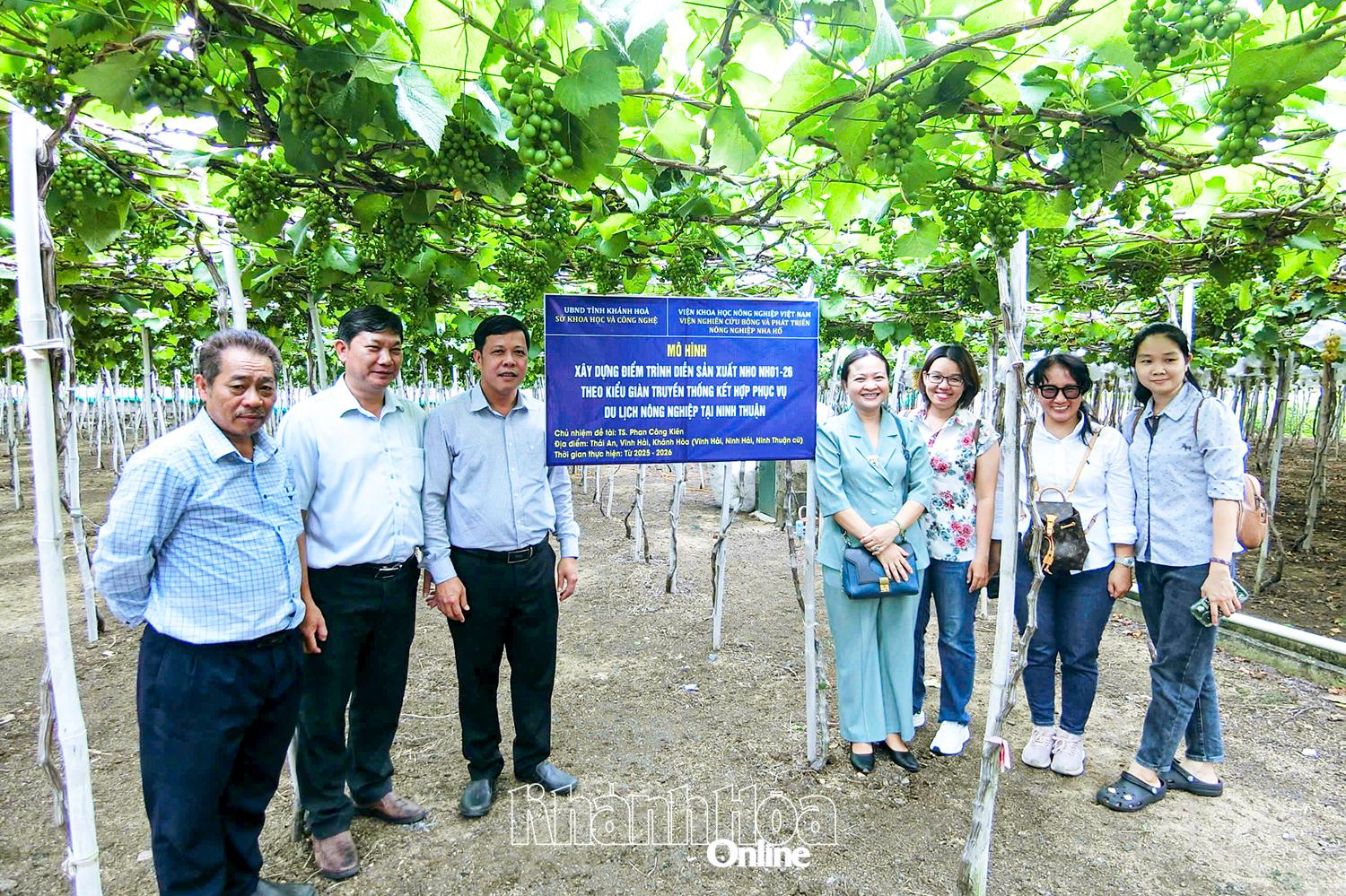 Viện phối hợp Sở Khoa học và Công nghệ thực hiện mô hình điểm trình diễn sản xuất nho NH01-26
theo kiểu giàn truyền thống kết hợp phục vụ du lịch nông nghiệp.