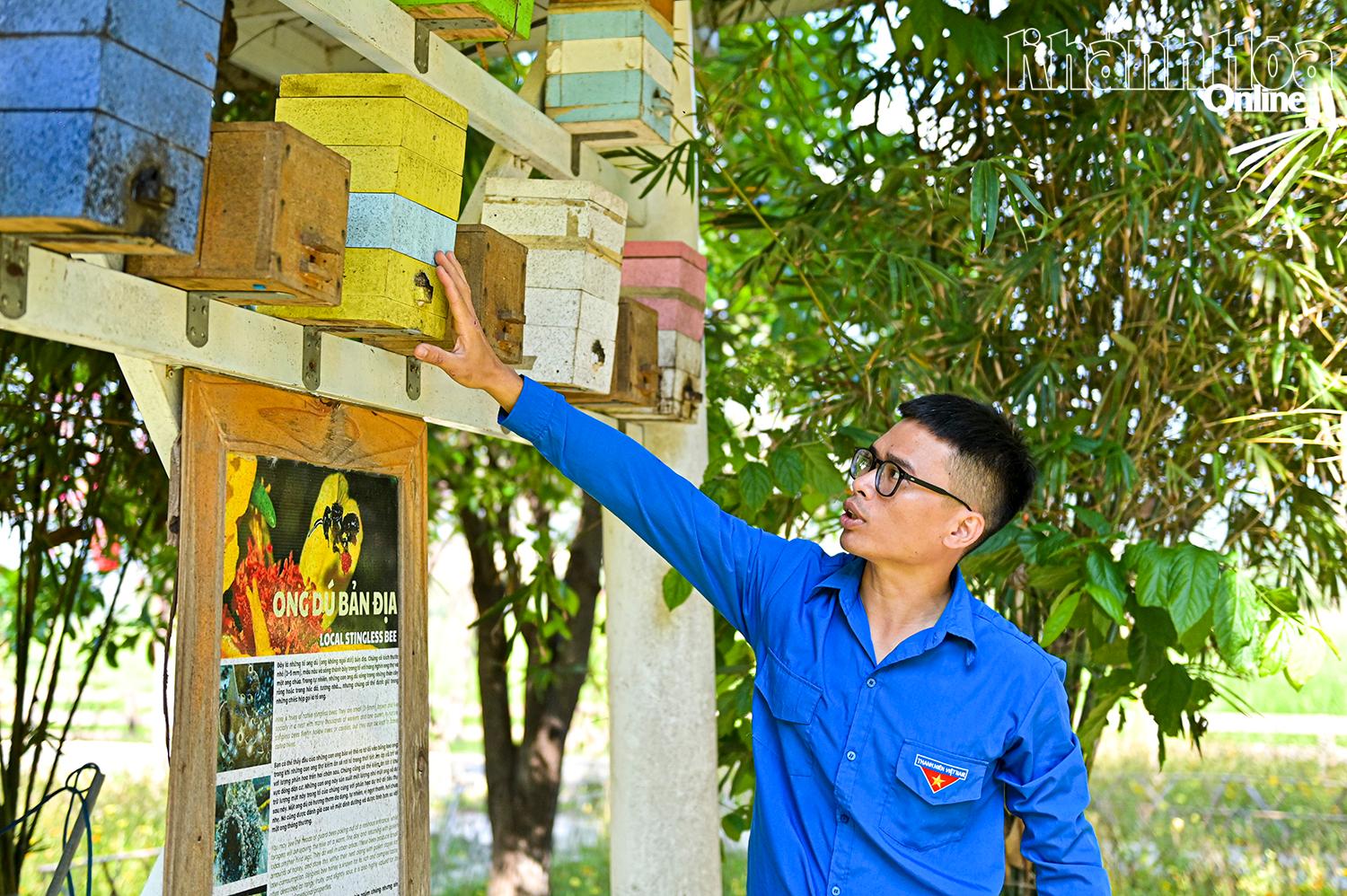 Khu vực 
nuôi ong dú 
của anh 
Nguyễn Anh Đức Tài.