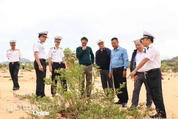 Vùng 4 Hải quân: Nỗ lực phủ xanh bán đảo Cam Ranh