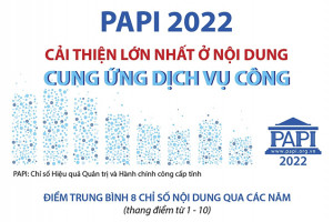 PAPI 2022: Cải thiện lớn nhất ở nội dung Cung ứng dịch vụ công