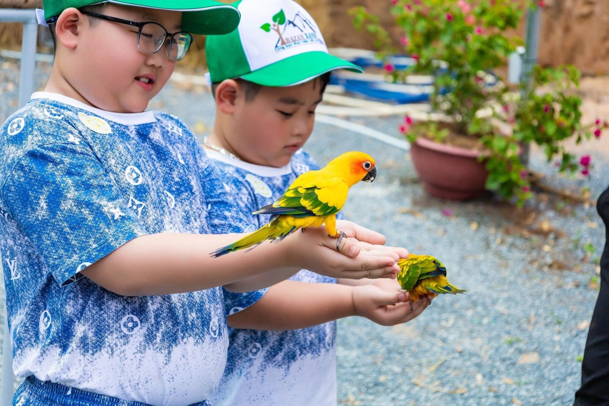 Các em thiếu nhi thích thú với đàn chim thân thiện