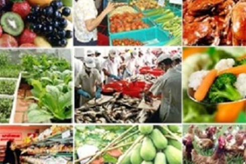 Các cơ sở nông lâm thủy sản chấp hành tốt điều kiện an toàn thực phẩm