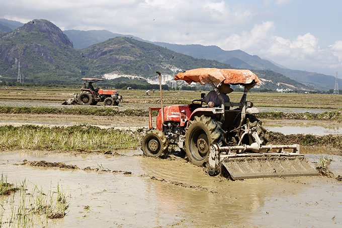 Một số thành viên tiêu biểu của Liên minh Hợp tác xã Khánh Hòa