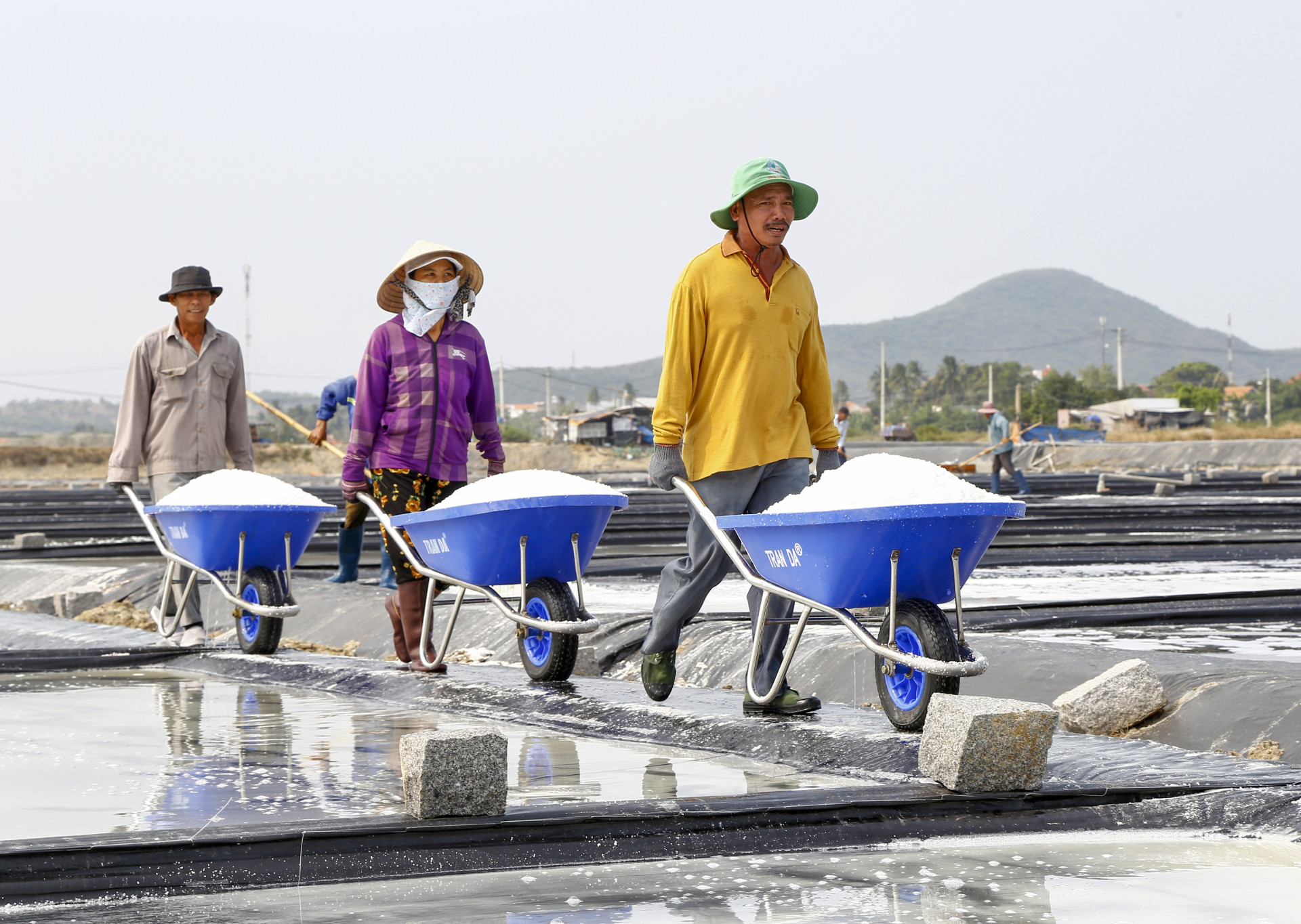 Vận chuyển muối từ ô kết tinh đến khu tập kết.