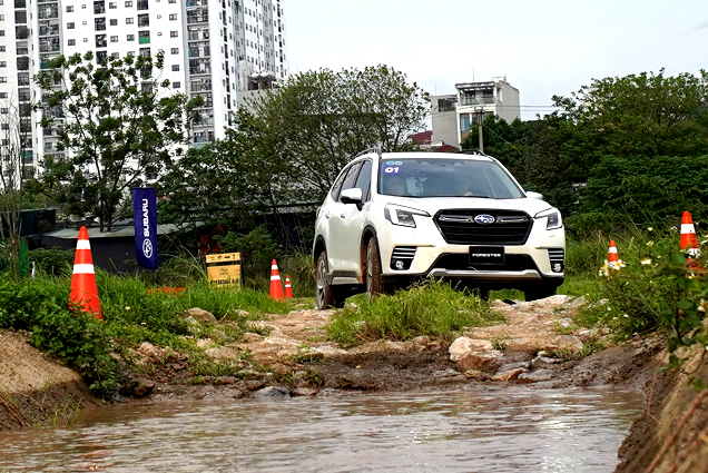 Ô tô gầm cao tiếp tục là lựa chọn yêu thích của người tiêu dùng Việt Nam