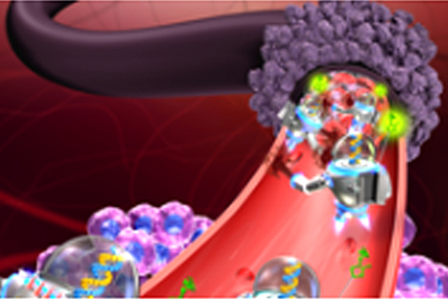 Đức phát triển robot siêu nhỏ hỗ trợ điều trị ung thư