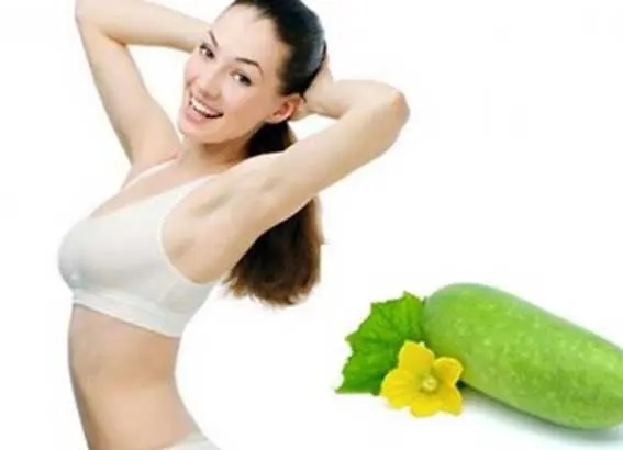 Nên dùng bí đao giảm cân như thế nào?