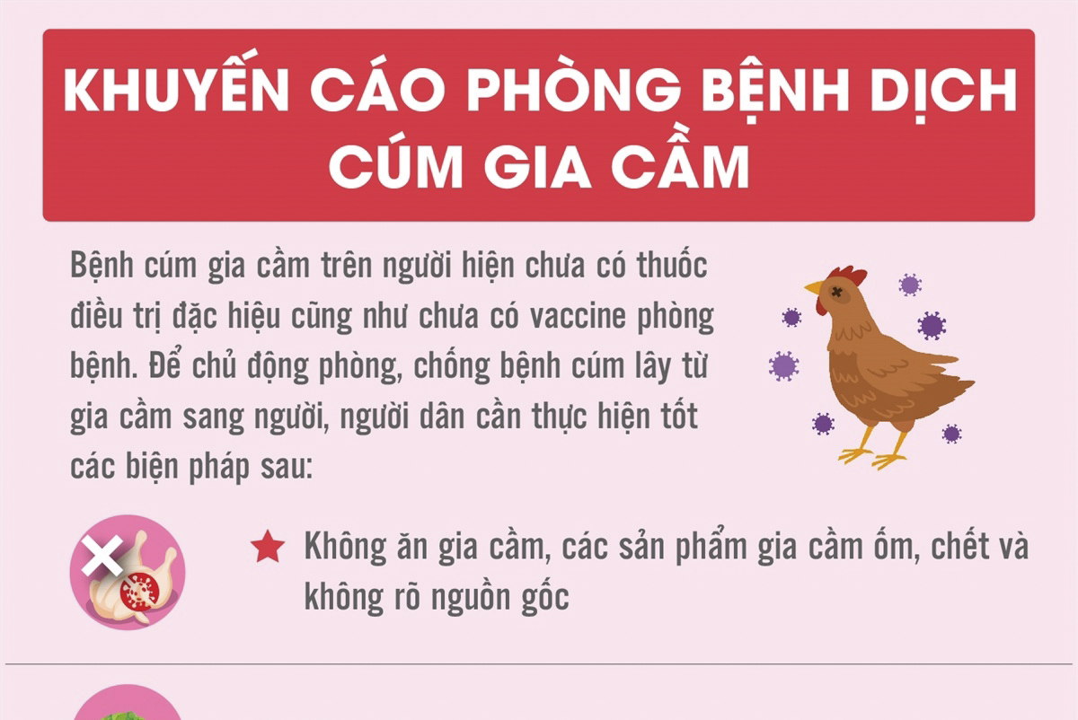 Khuyến cáo phòng bệnh dịch cúm gia cầm