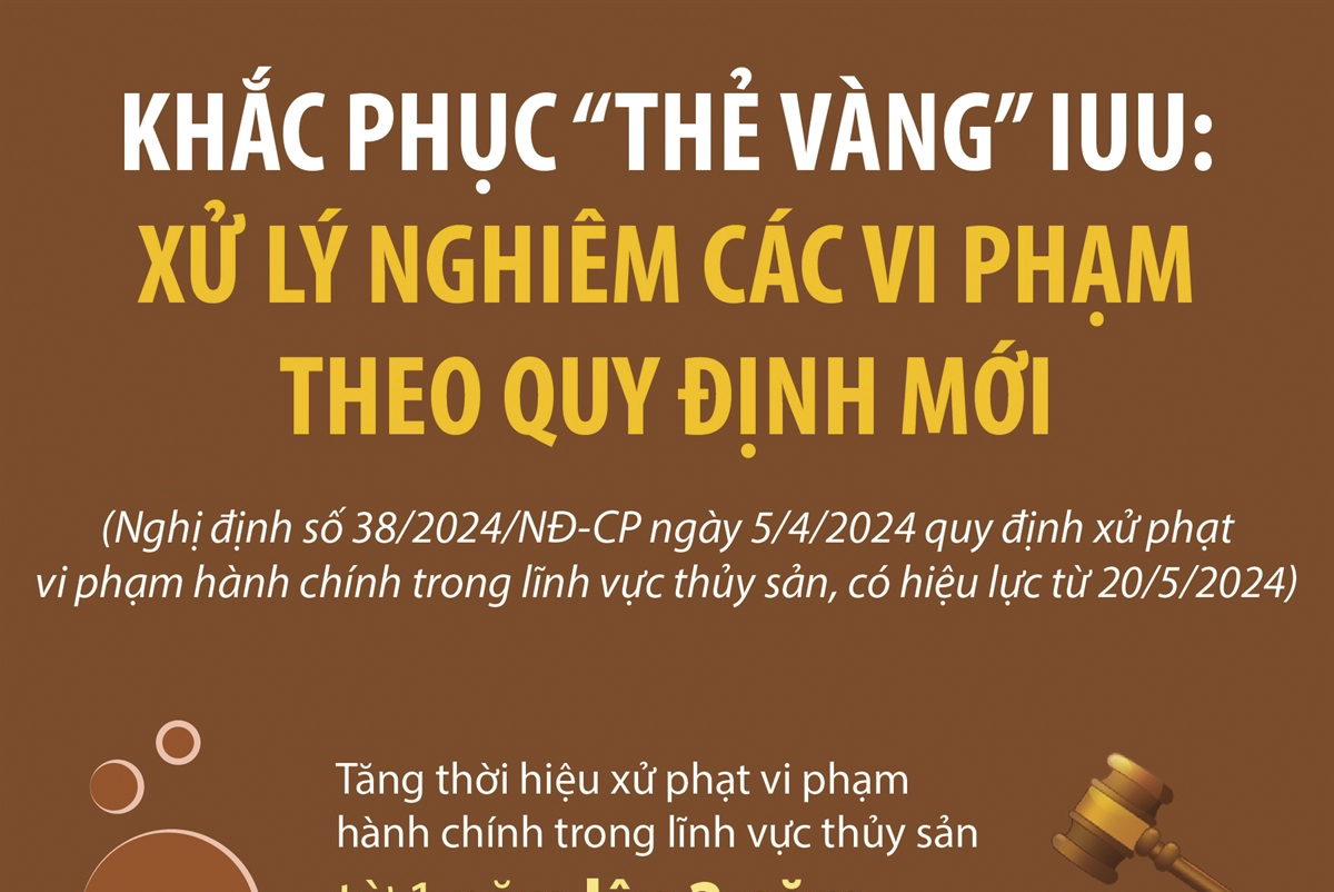 Khắc phục “thẻ vàng” IUU: Xử lý nghiêm các vi phạm theo quy định mới