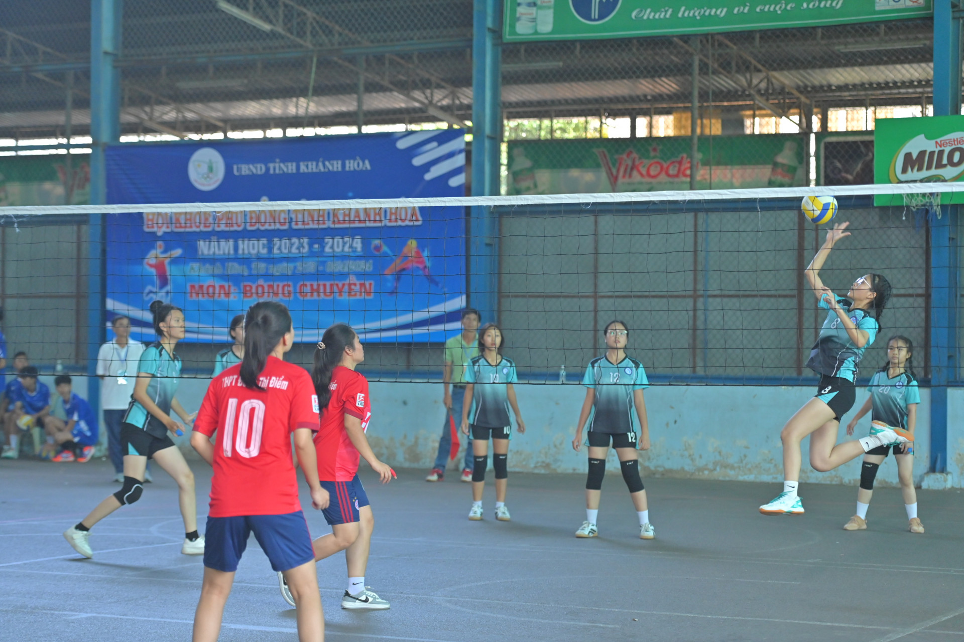 The players competing in volleyball

