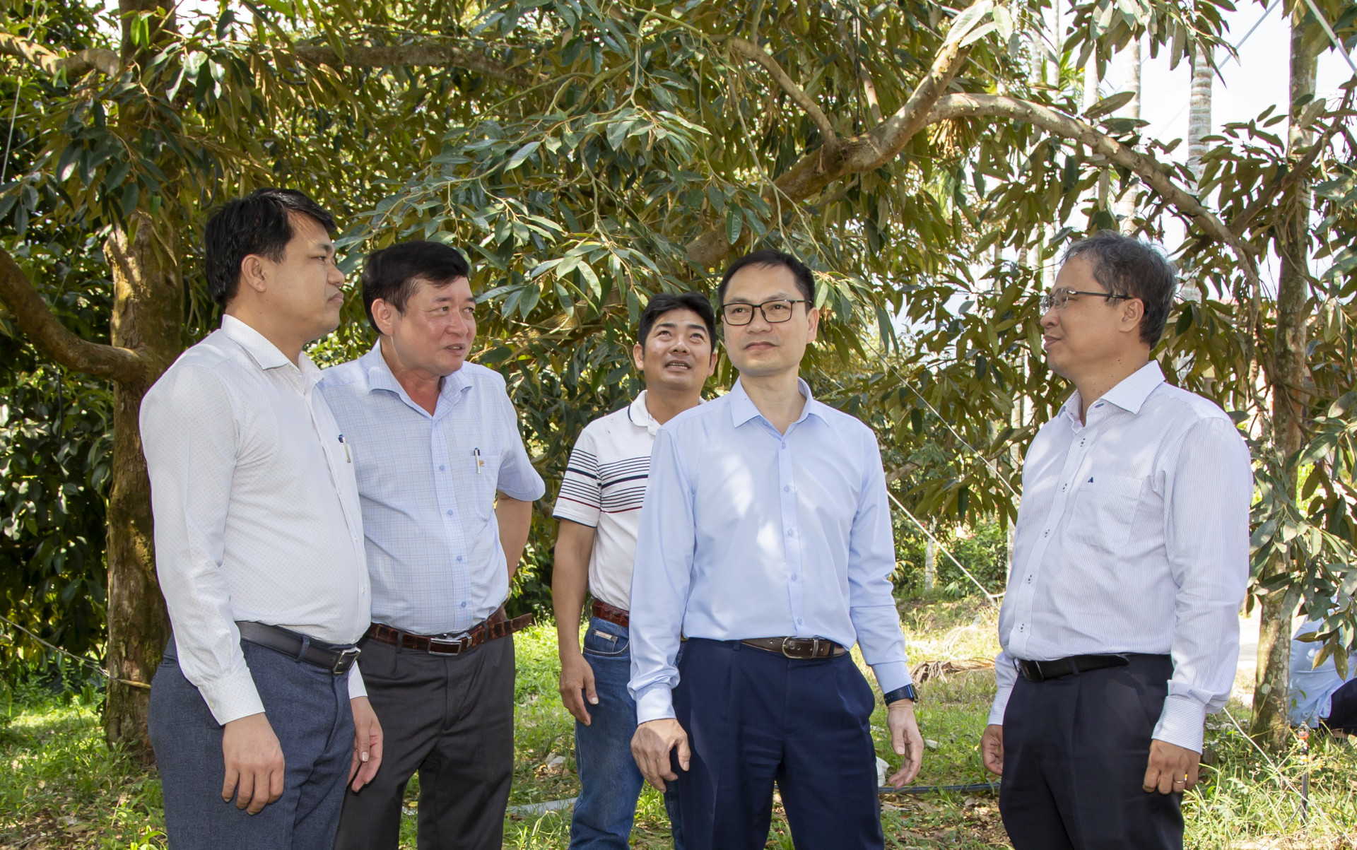 Đoàn công tác tìm hiểu mô hình sản xuất hiệu quả tại xã Sơn Bình