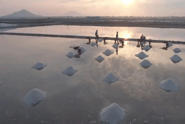 VIDEO: Vẻ đẹp bình dị của những cánh đồng muối Hòn Khói