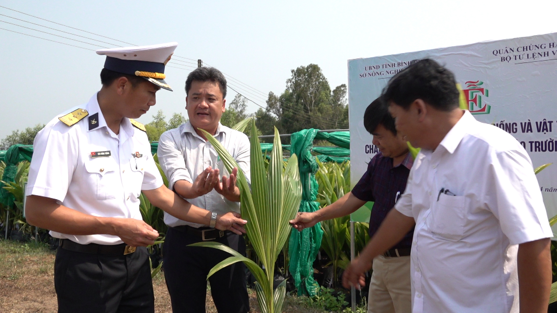 Tiếp nhận dừa giống được tỉnh Bình Định tặng.