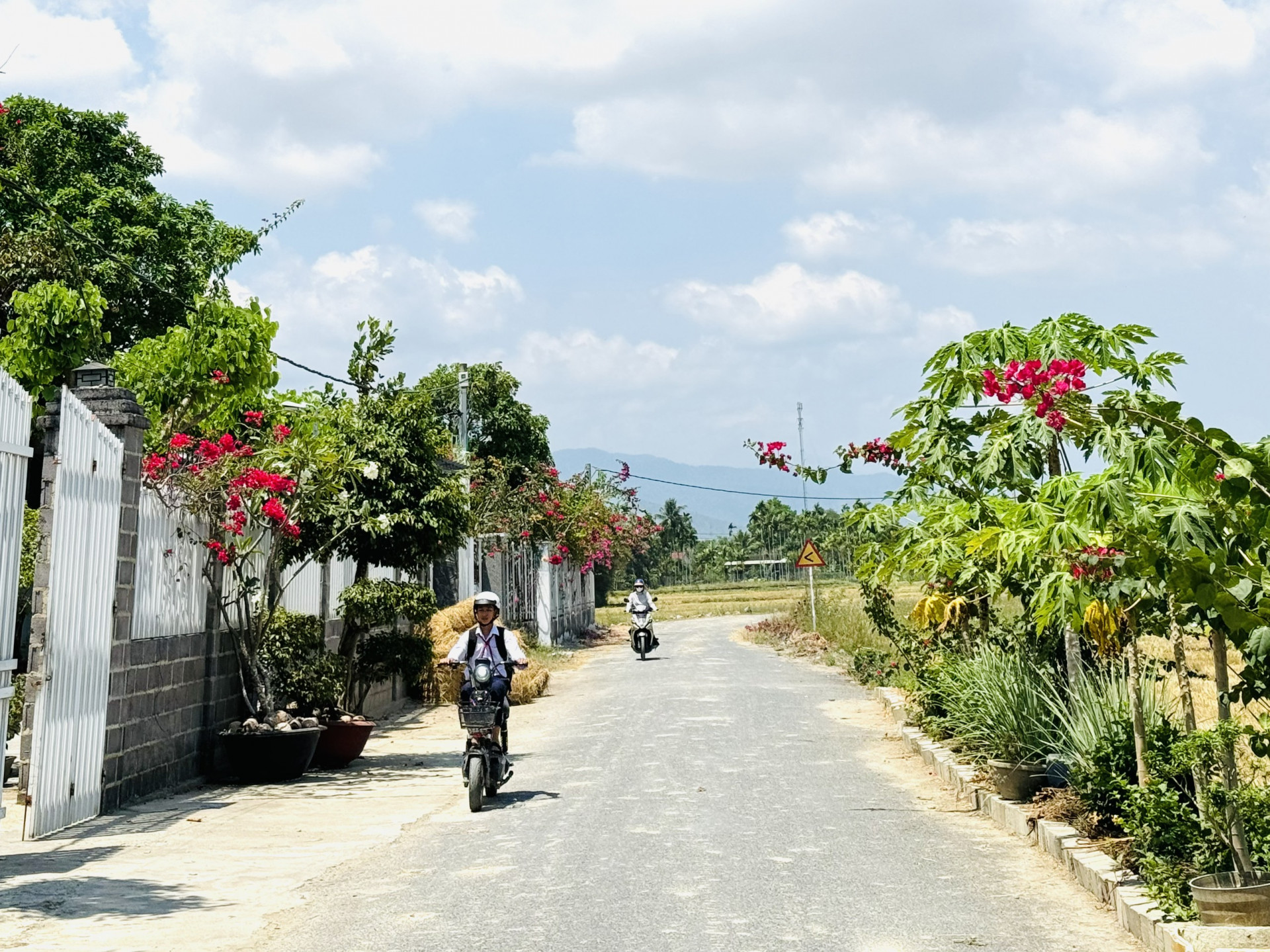 Các tuyến đường trong thôn được người dân vệ sinh sạch sẽ, trồng thêm hoa, cây xanh.