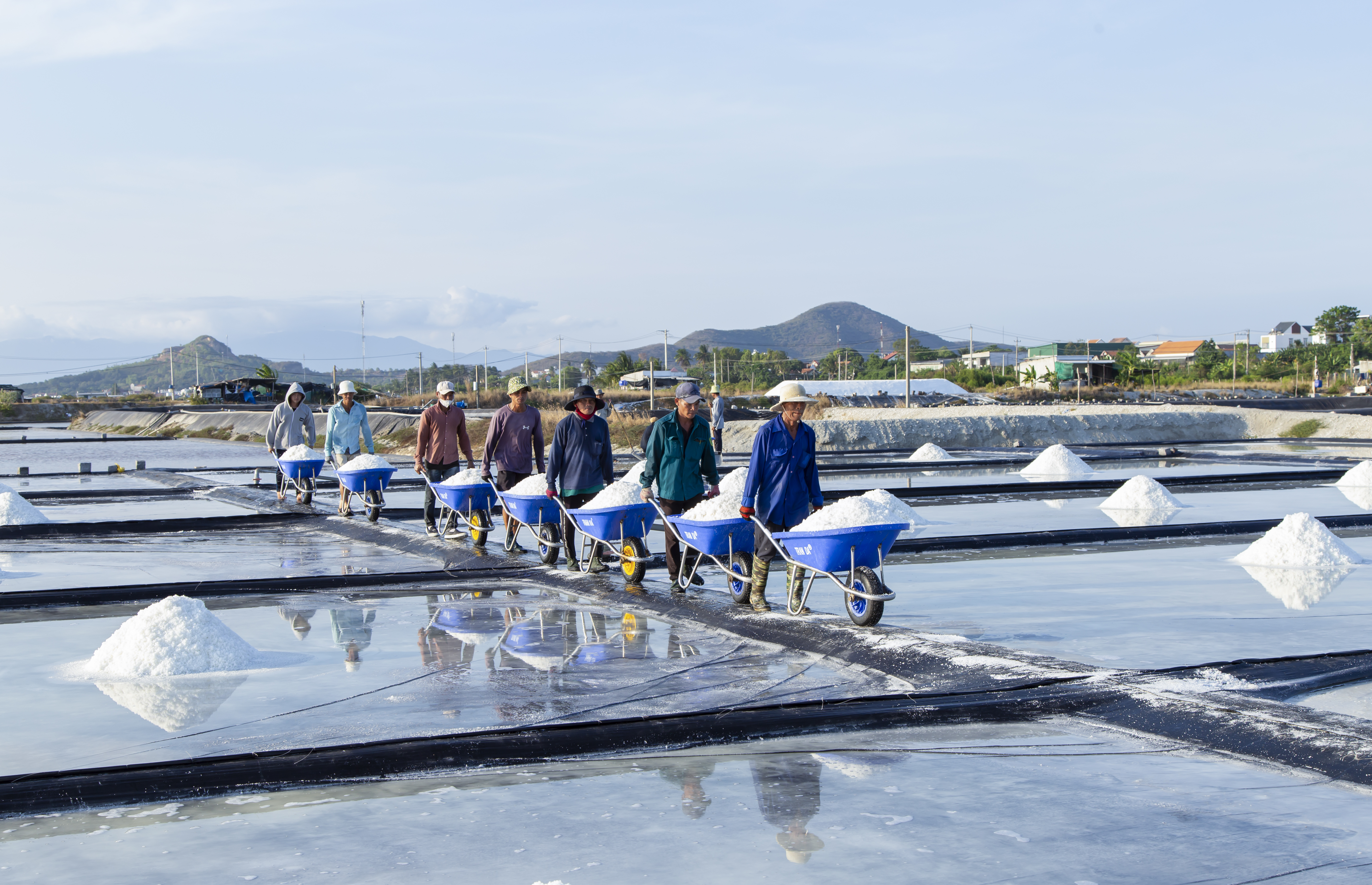 Mặn mòi hạt muối