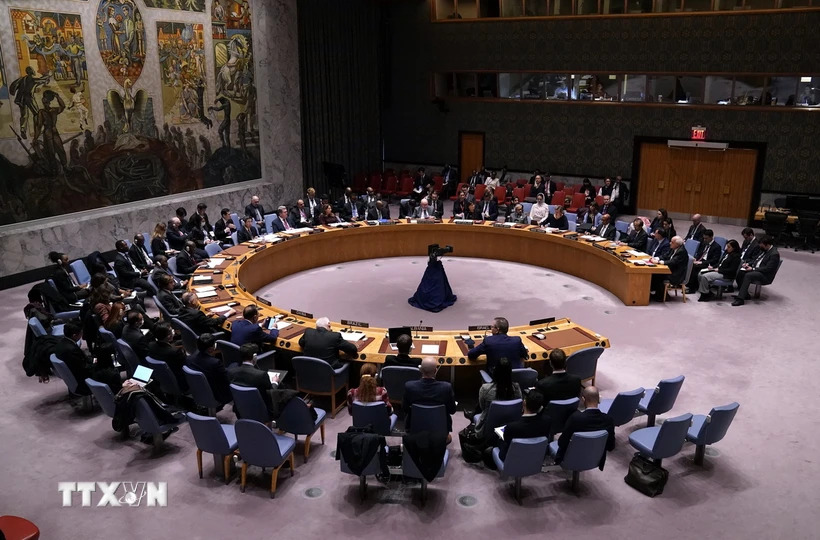 Hội đồng Bảo an chưa đạt đồng thuận về tư cách thành viên LHQ của Palestine