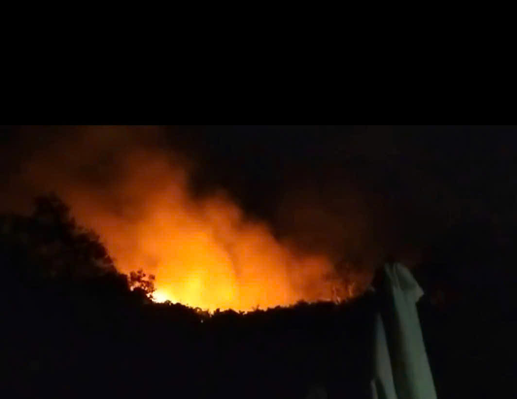 Kịp thời khống chế cháy rừng trên đảo Hòn Tre