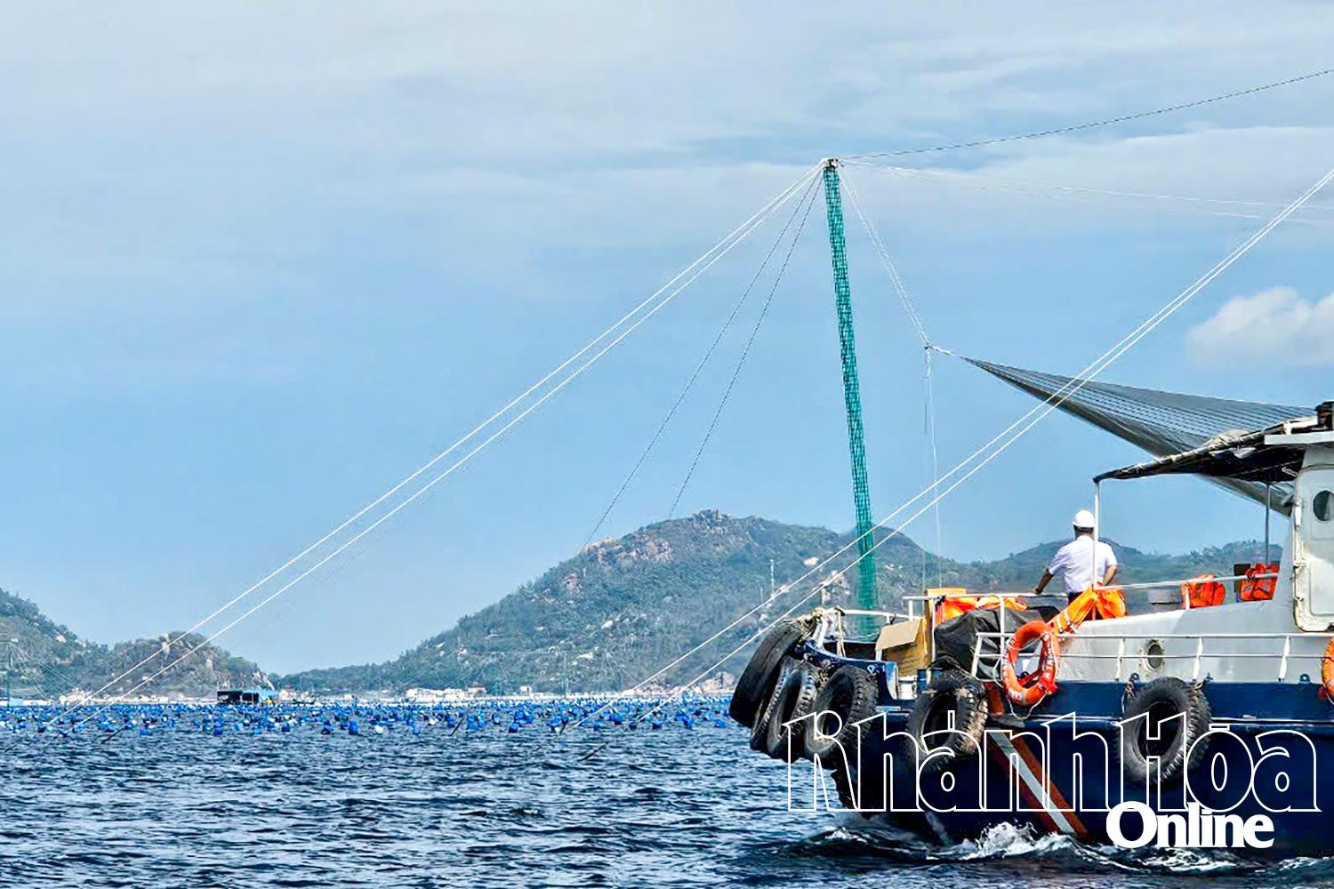 Nỗ lực xử lý lồng bè lấn chiếm luồng hàng hải 