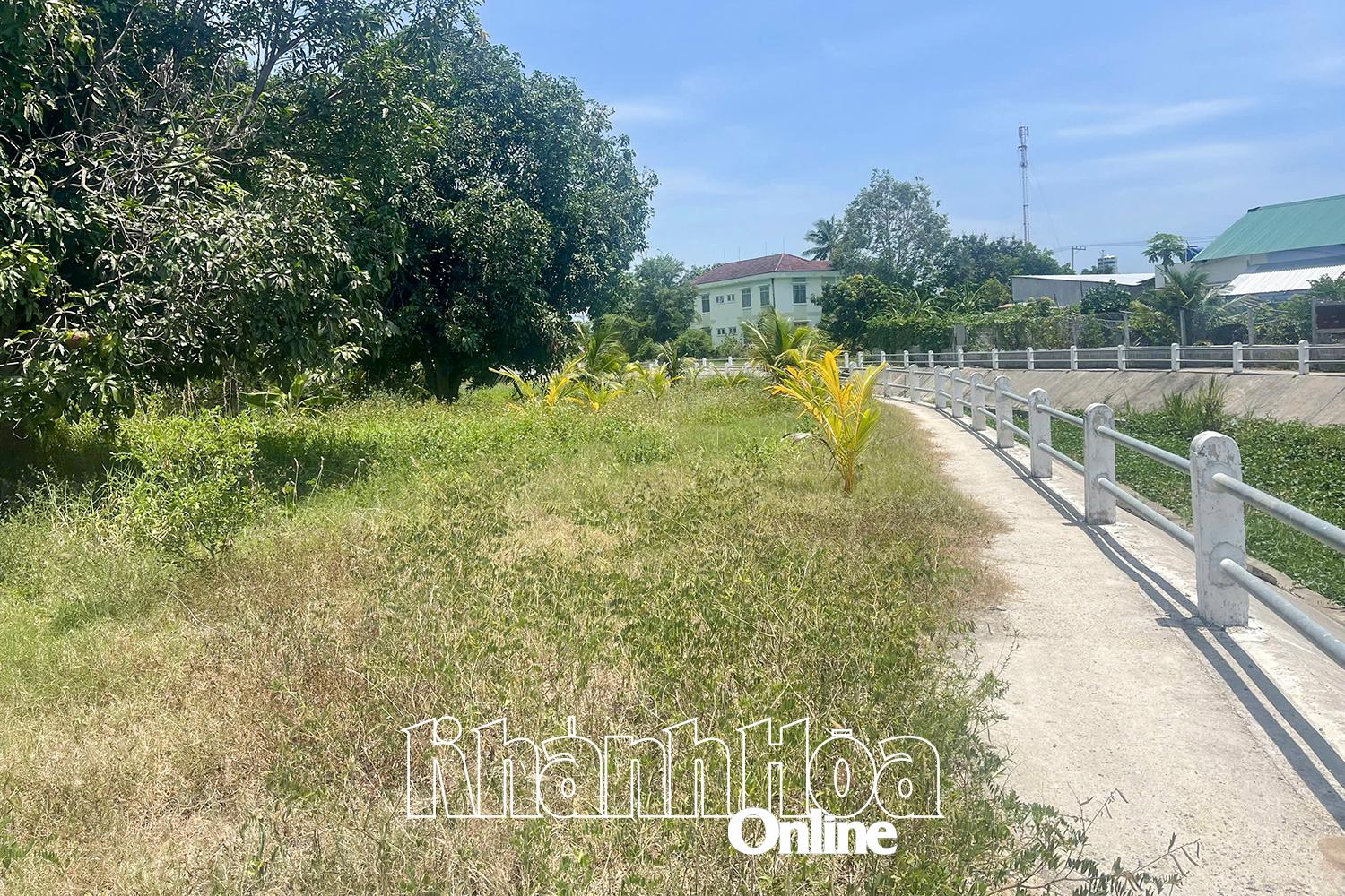 Nhiều sai phạm trong quản lý đất công ở Cam Thành Nam