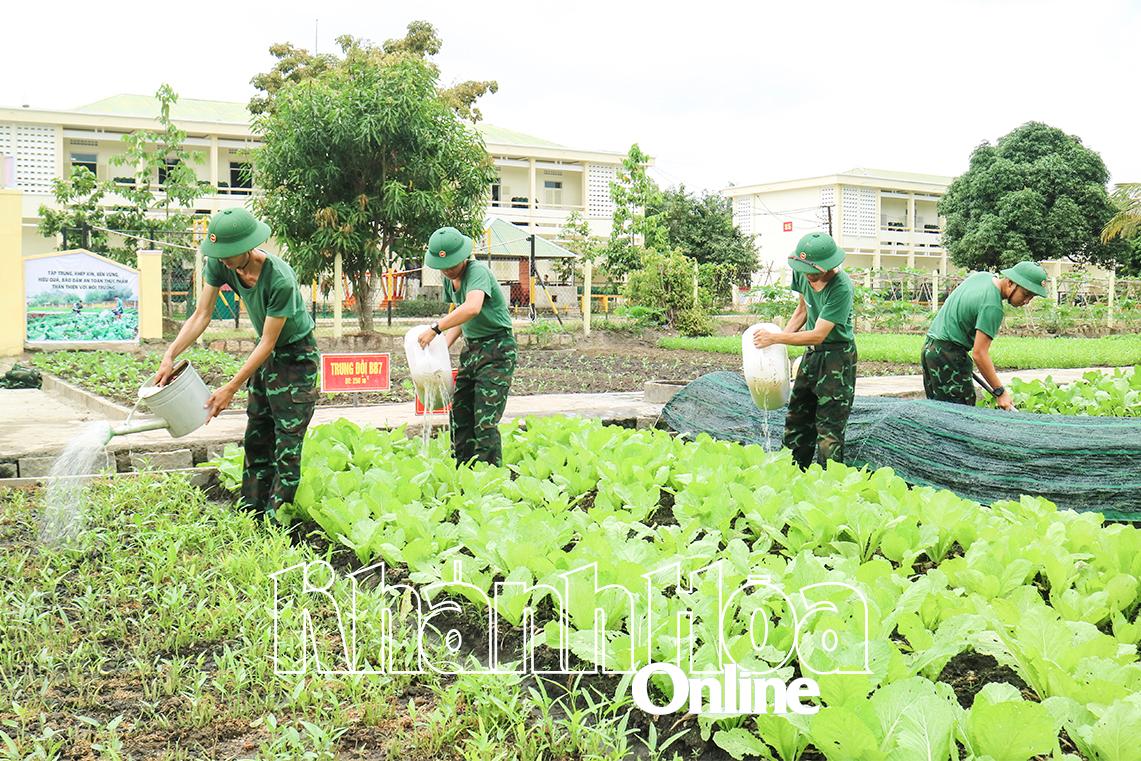 Tiểu đoàn Bộ binh 460 đẩy mạnh tăng gia sản xuất, nâng cao đời sống bộ đội