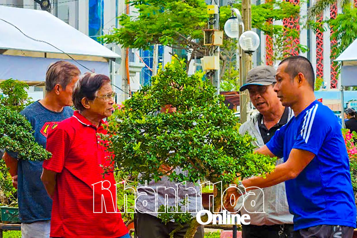 Khanh Hoa Province’s first ornamental plant fair 2025 features thousands of ornamental plants