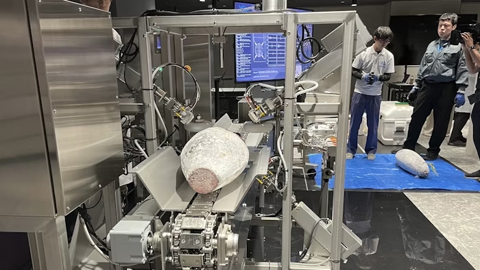 Cá ngừ được đưa vào kiểm tra bằng Sonofai tại cơ sở của Fujitsu ở Kawasaki, Nhật Bản (Ảnh: AP)