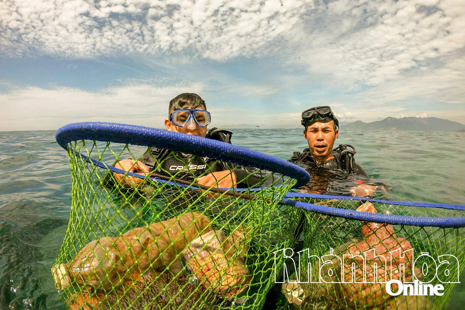 Nhặt rác ở vịnh Nha Trang.
