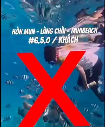 Người dân, du khách tham quan không dẫn dụ, cho cá ăn bằng thức ăn tổng hợp ở Hòn Mun