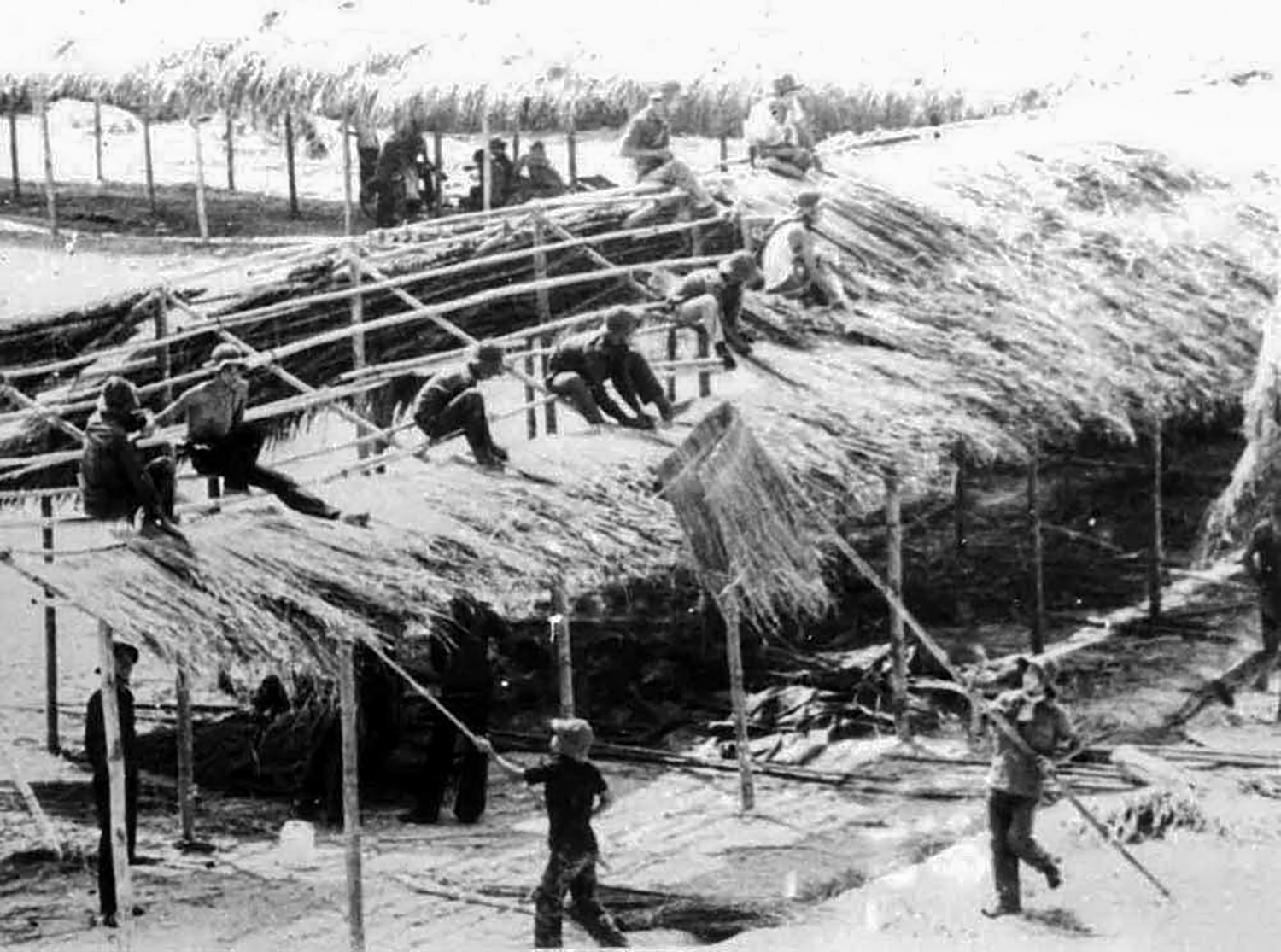 Các thanh niên xung phong ngày ấy lợp tranh làm lán trại. 