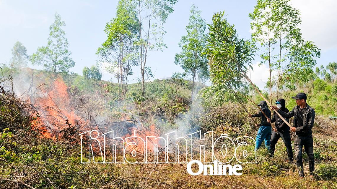 Diễn tập phòng cháy, chữa cháy rừng tại thị xã Ninh Hòa.