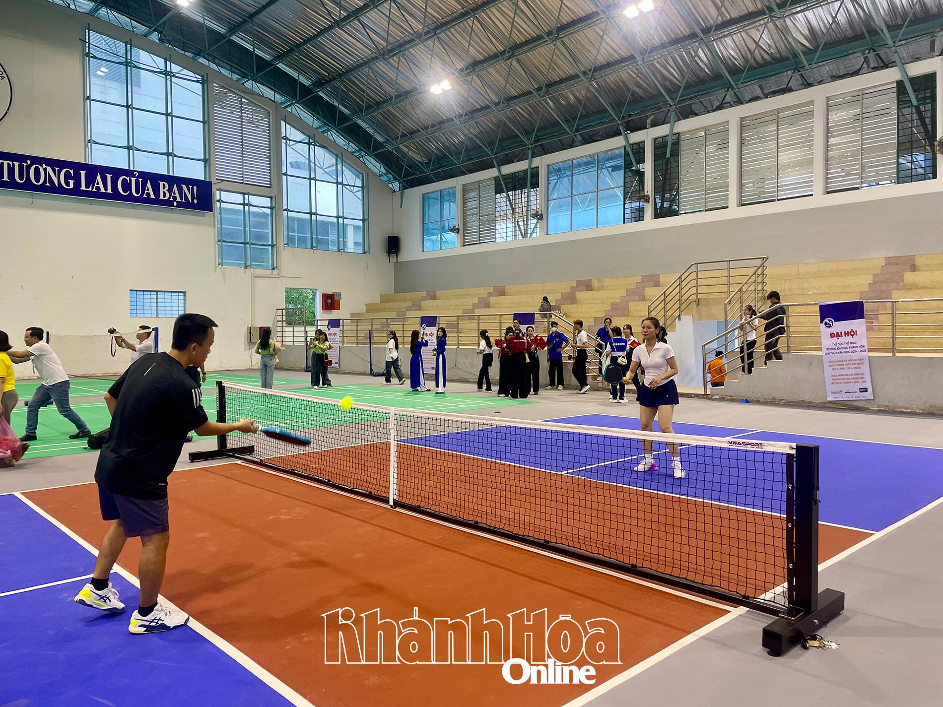 Các vận động viên thi đấu môn pickleball.
