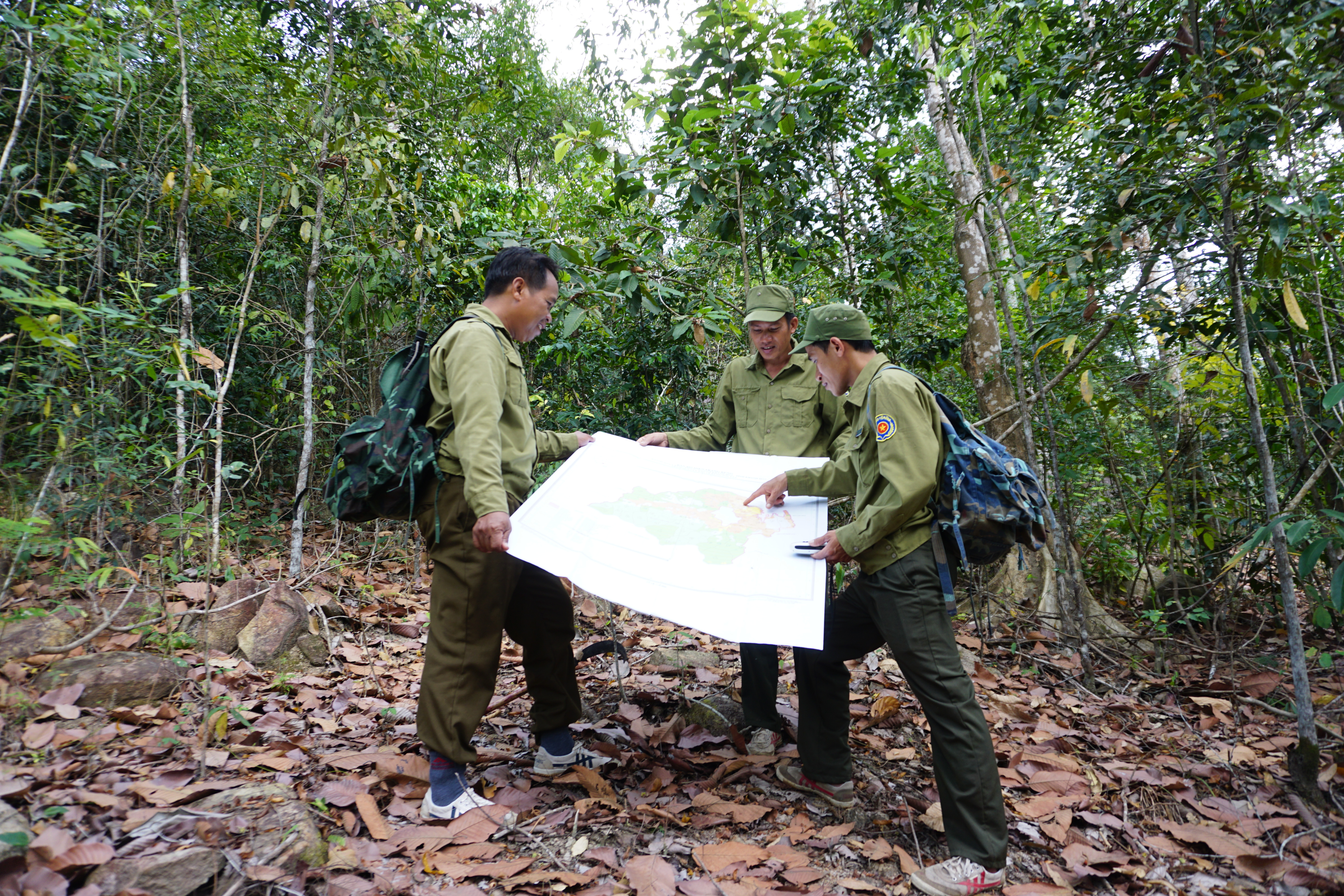 UBND tỉnh ban hành kế hoạch phòng cháy, chữa cháy rừng năm 2025