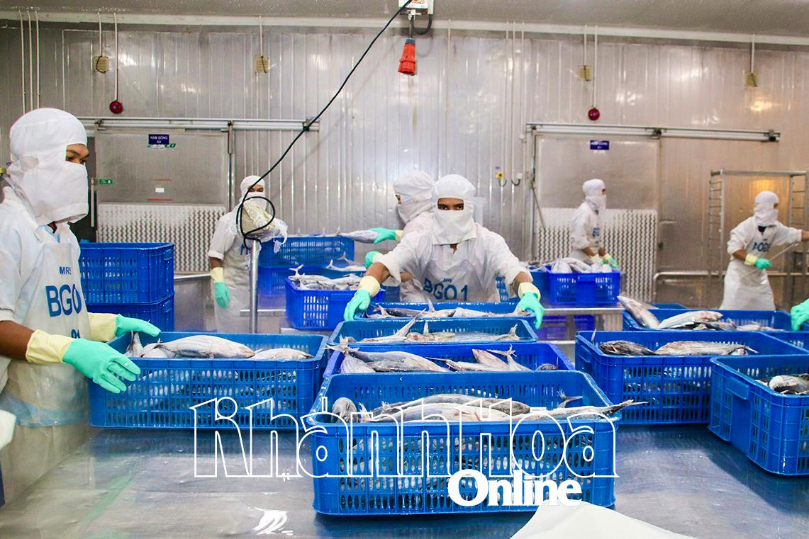 Ứng phó với việc Hoa Kỳ áp thuế 46%  