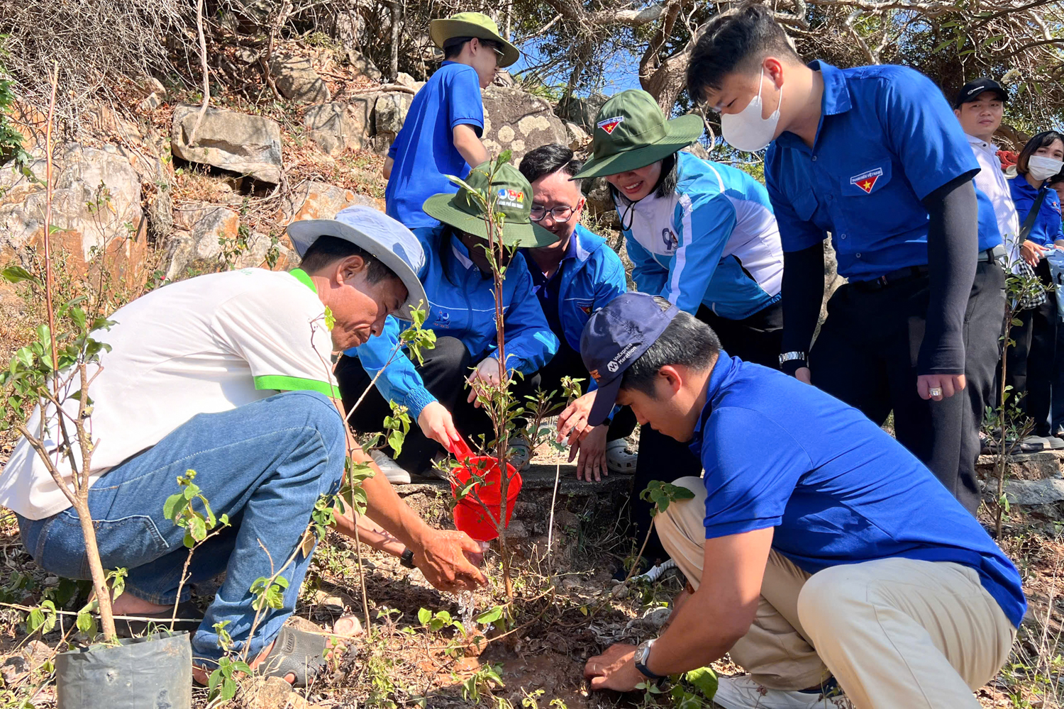 Trồng cây xanh trên đảo.