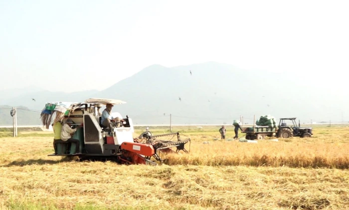 Quý I/2026, thu ngân sách xã Vạn Ninh đạt hơn 187% kế hoạch