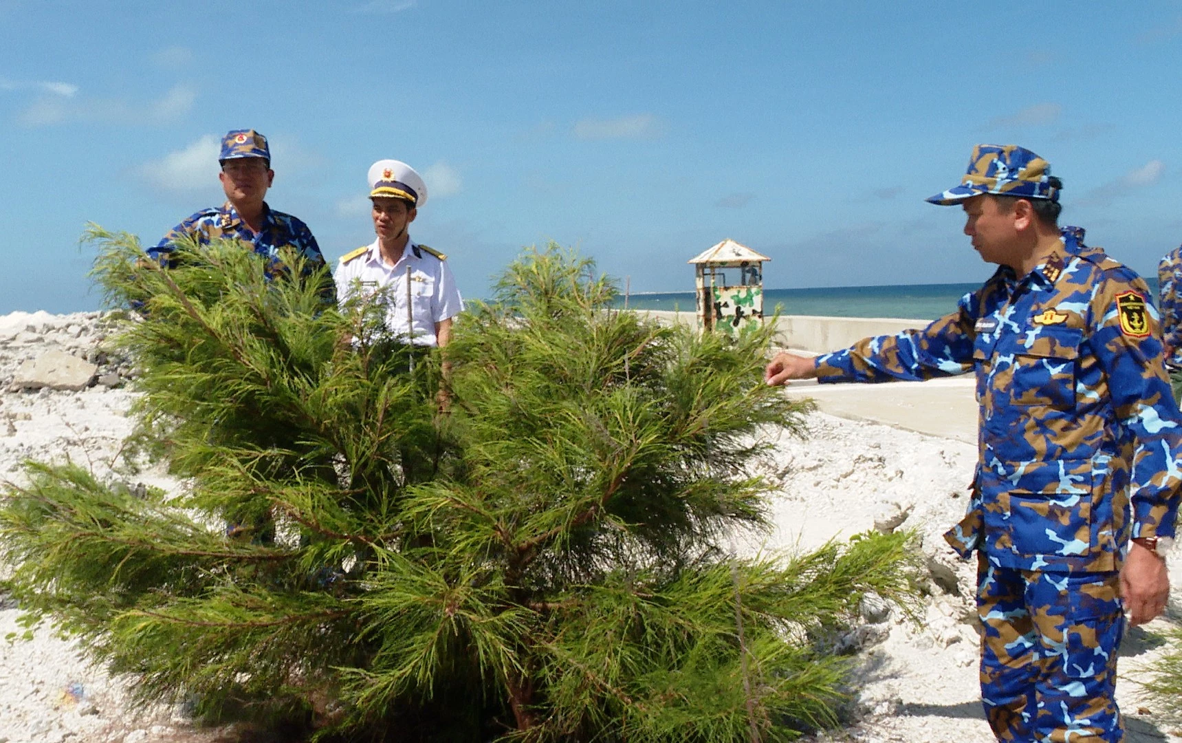 Lãnh đạo Vùng 4 kiểm tra tình hình trồng, chăm sóc cây xanh trên đảo Phan Vinh A.