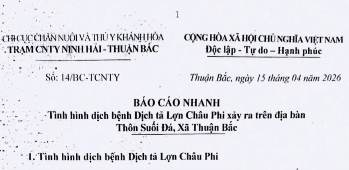 Dịch tả heo châu Phi xuất hiện tại xã Thuận Bắc